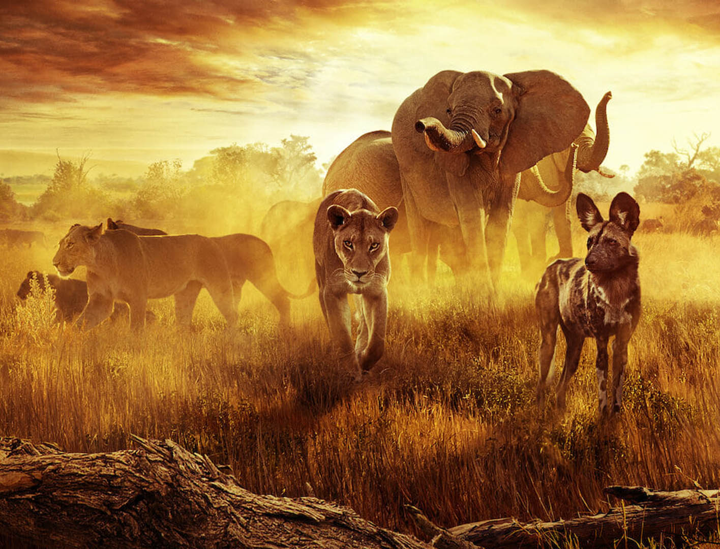 بهشت بازمانده: یک داستان خانوادگی Surviving Paradise: A Family Tale