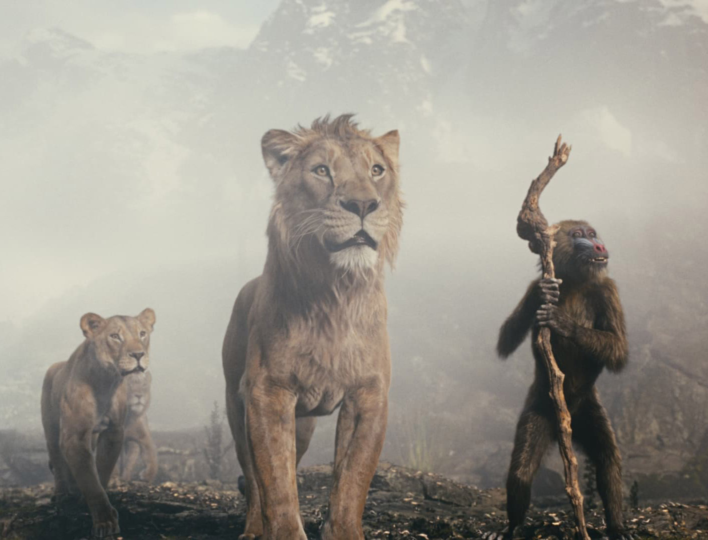 موفاسا : شیر شاه Mufasa: The Lion King