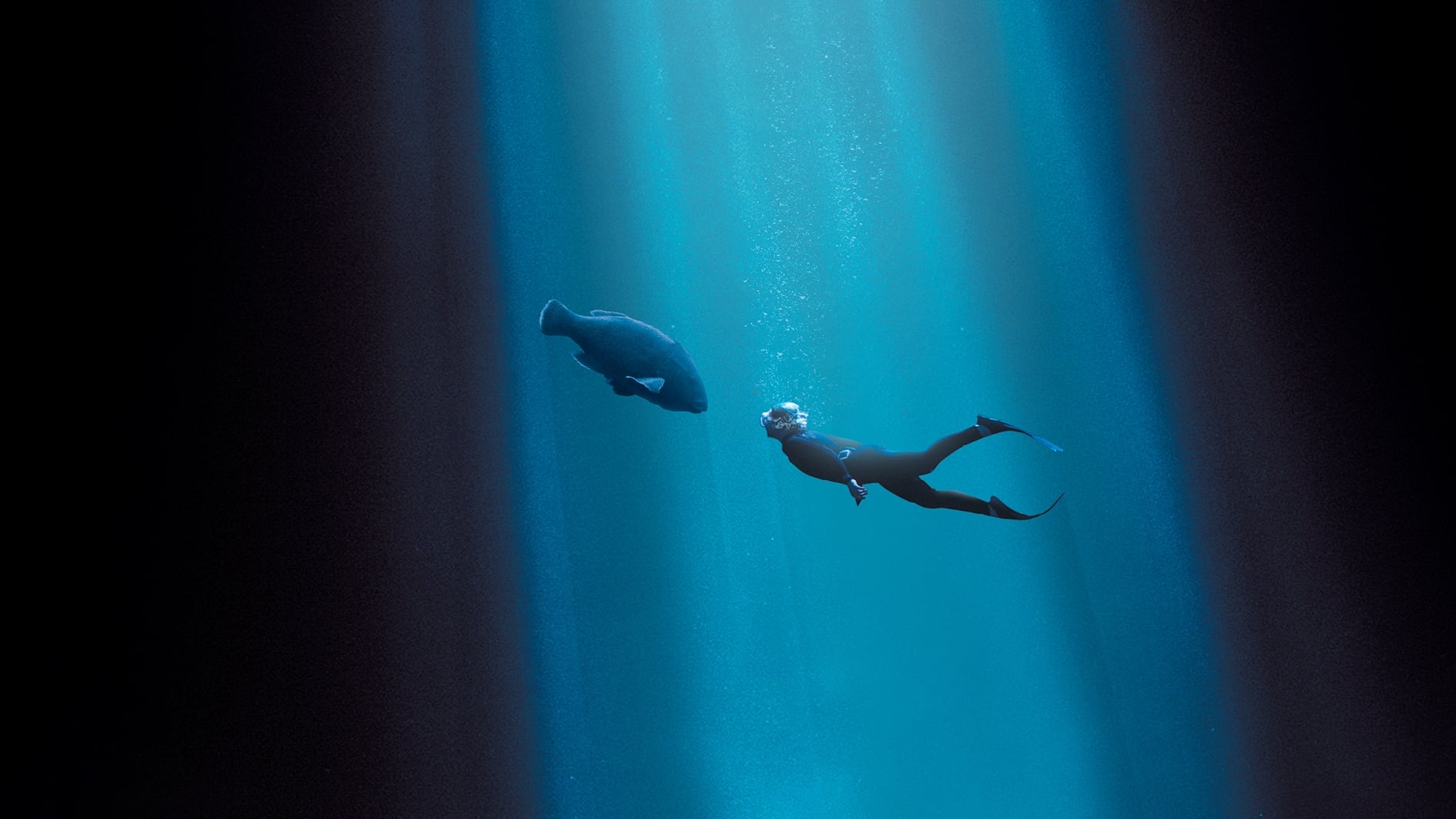 پشت آبی Blueback