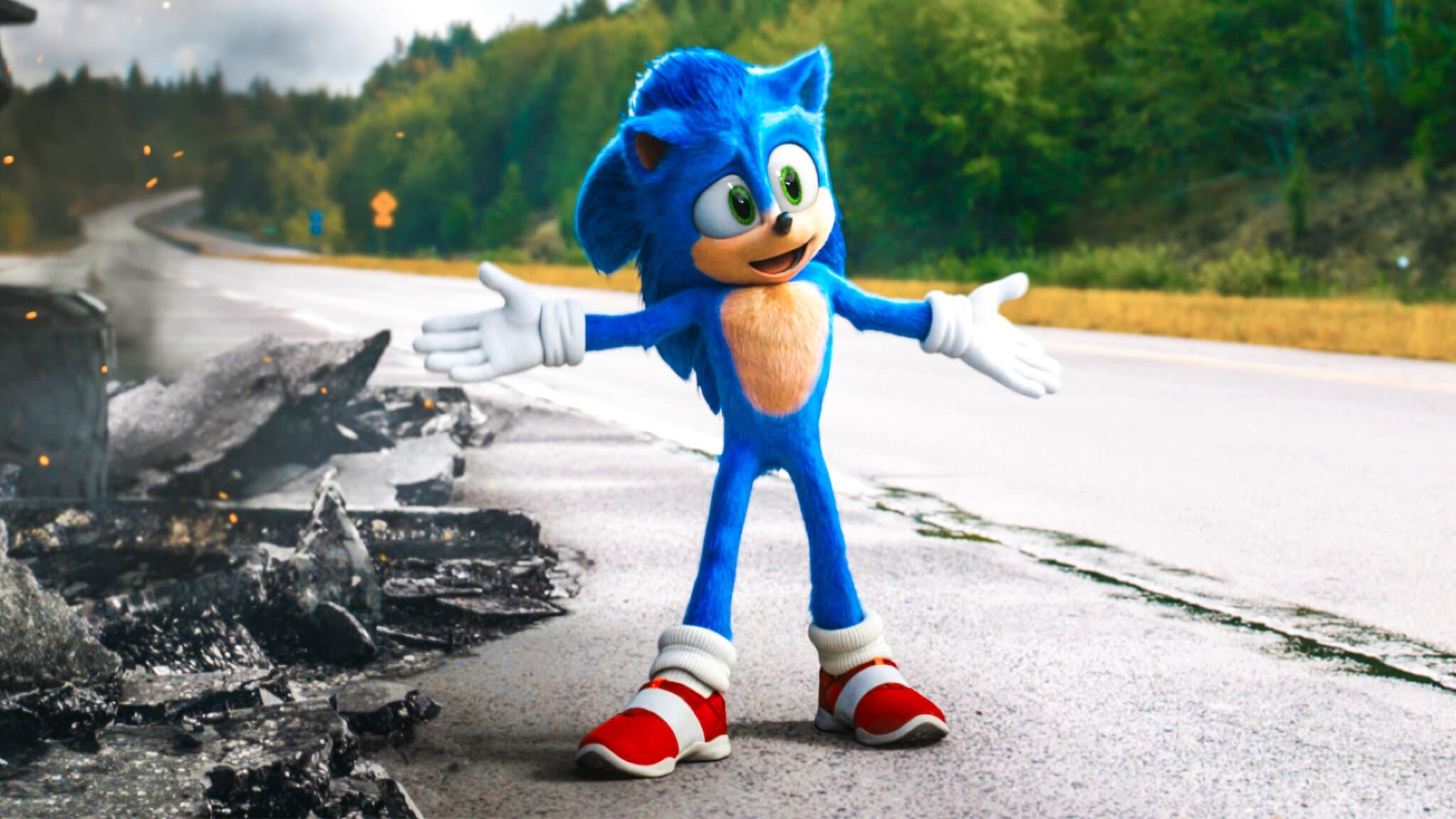 سونیک خارپشت Sonic the Hedgehog
