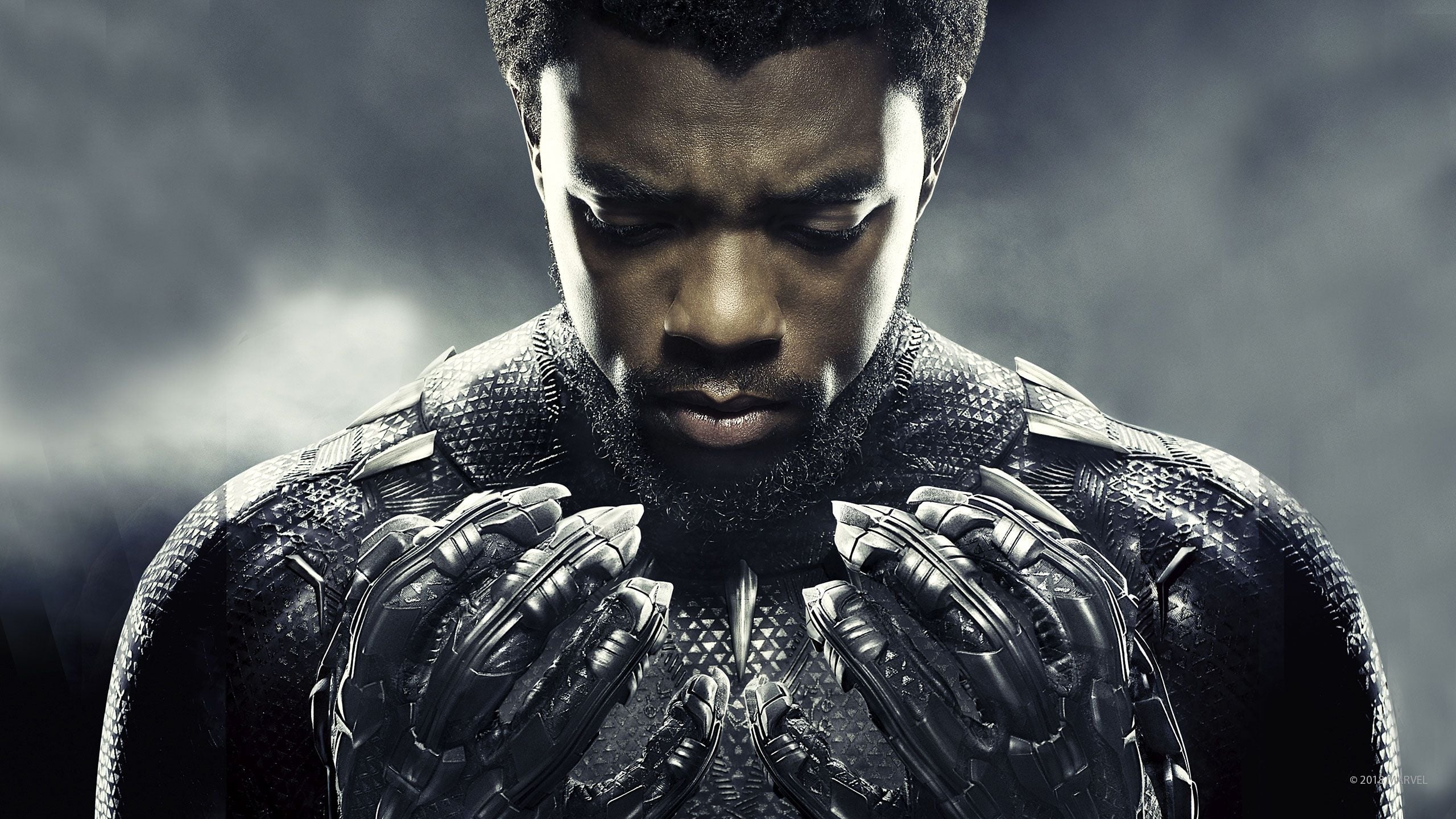 پلنگ سیاه Black Panther
