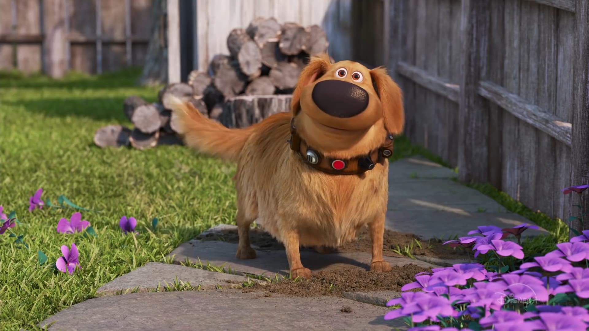 روز داگ Dug Days