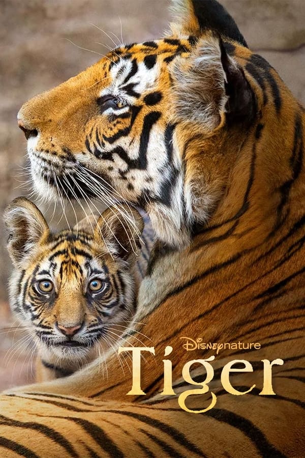 ببر Tiger