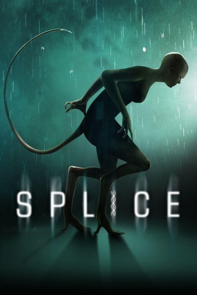 شکاف Splice