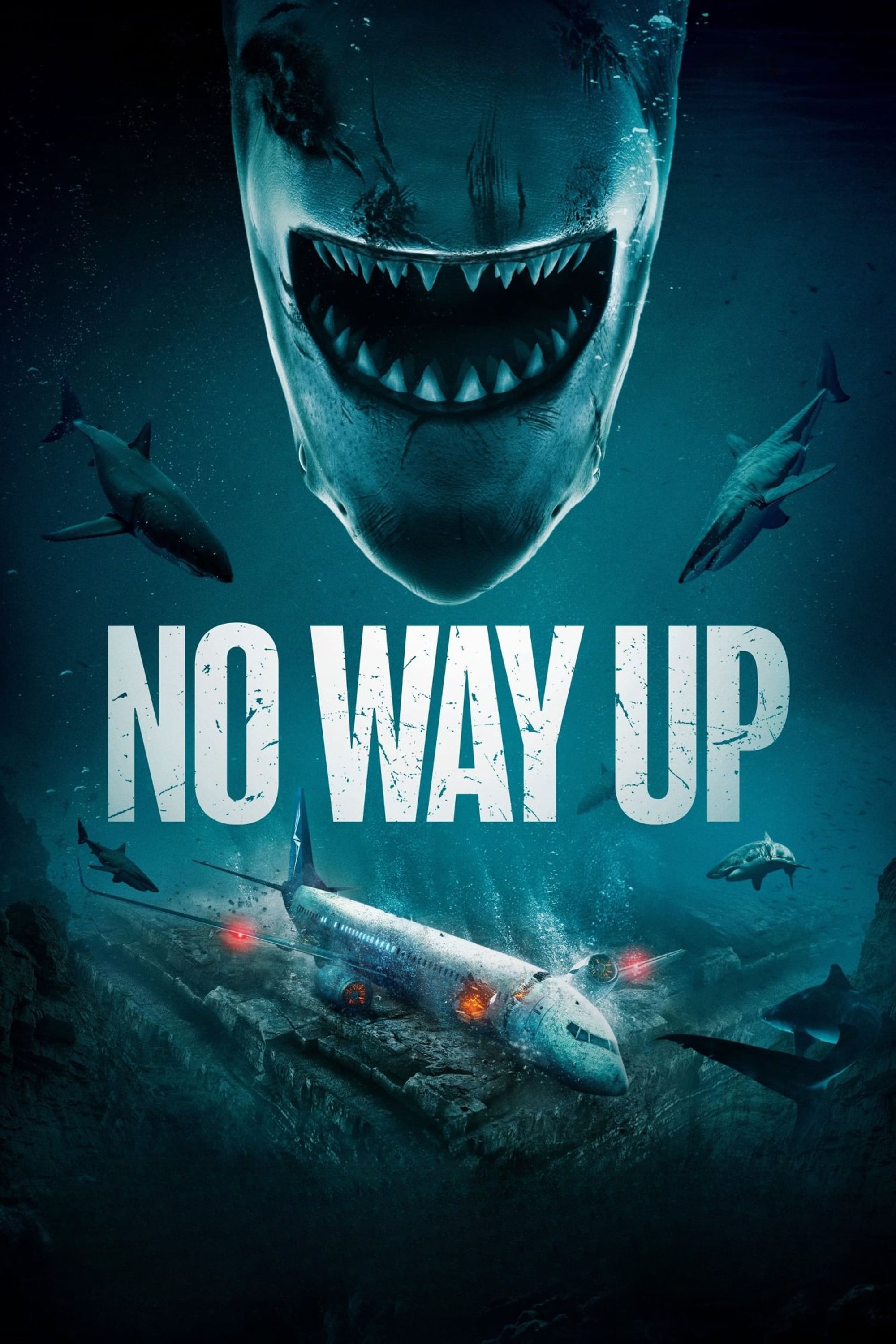 راهی برای بالا رفتن نیست No Way Up