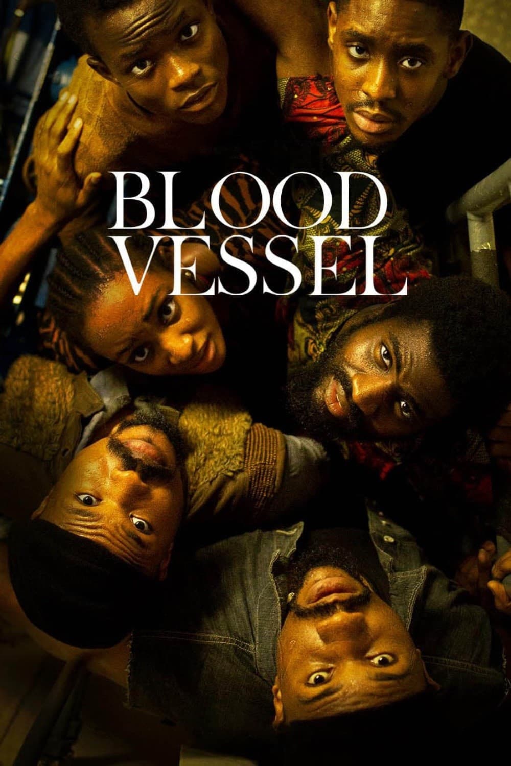 رگ خونی Blood Vessel