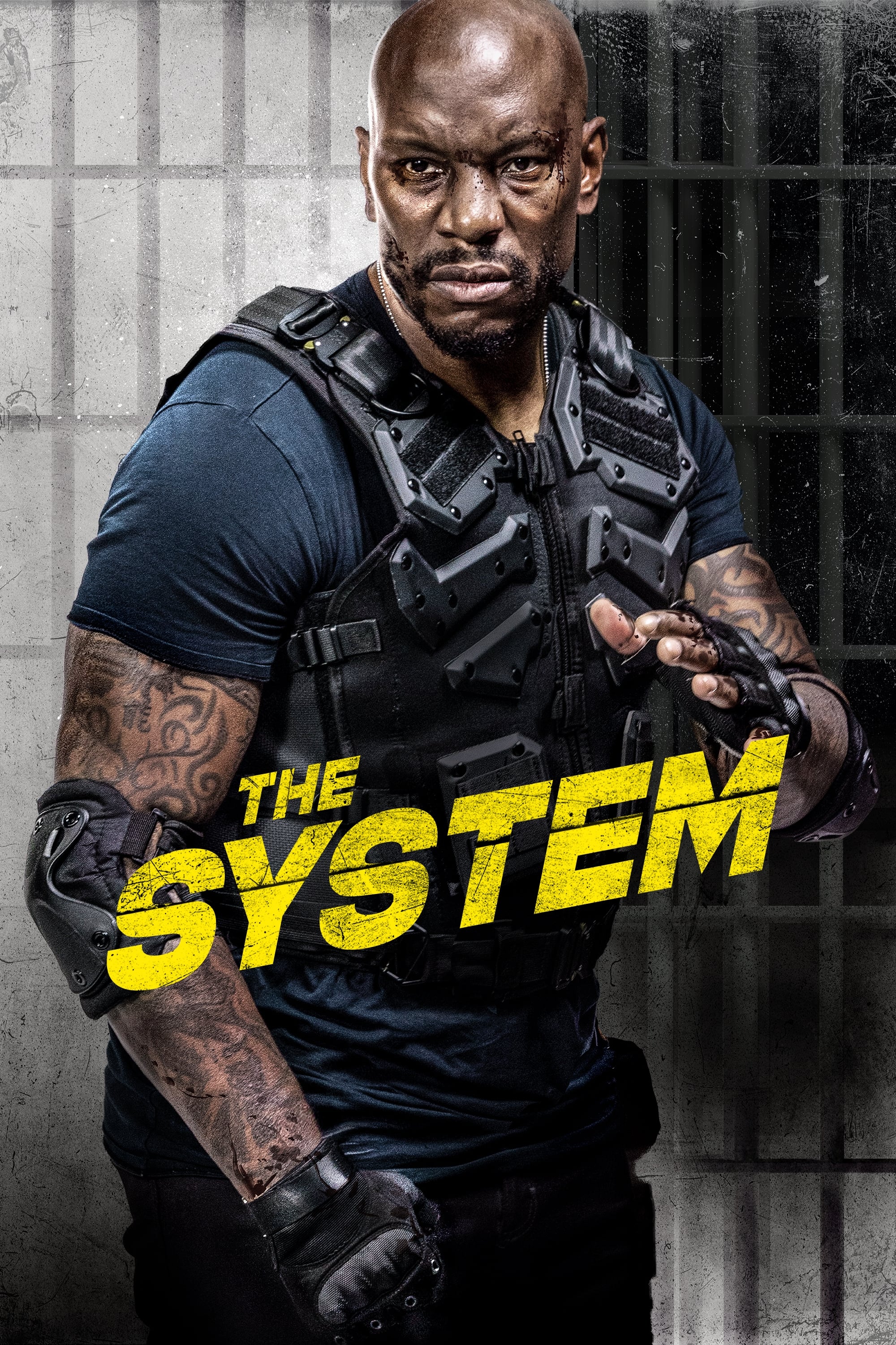 سیستم The System