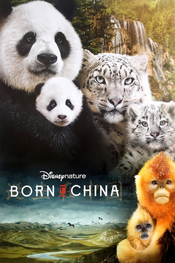 متولد چین Born in China