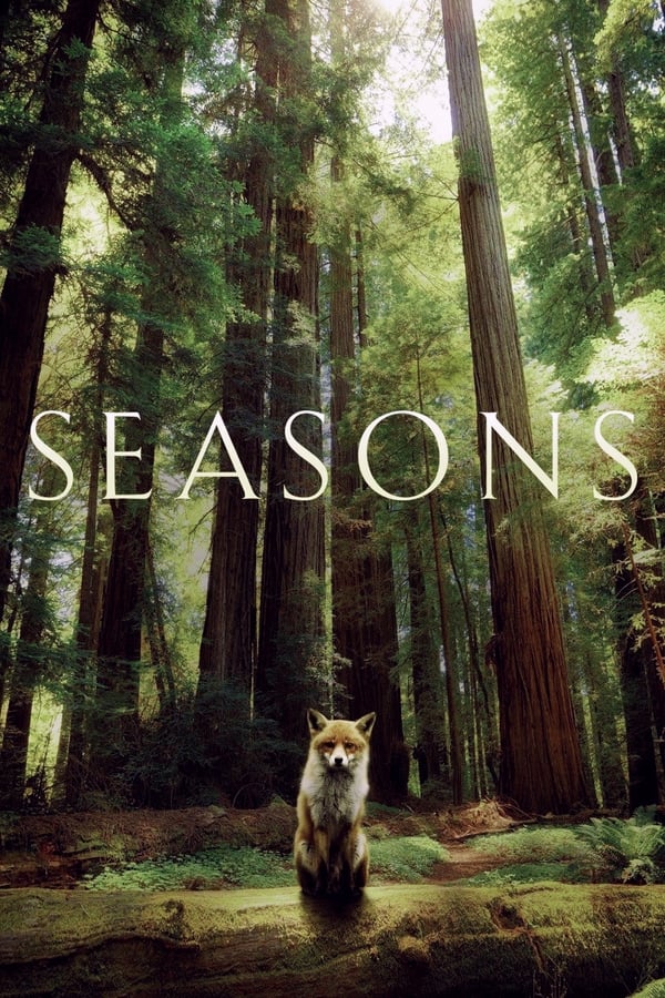 فصل ها Seasons